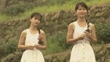 樱花姐妹 - 无可能的梦