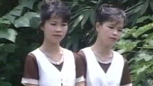 樱花姐妹 - 心爱我己经要出嫁