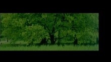 Fire Ball - Place In Your Heart