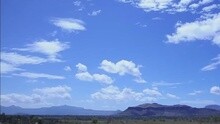 Purwaiyaa
