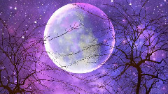 Song To The Moon