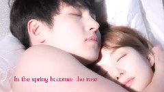 Healer