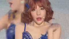 Lion Heart
