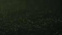 About You