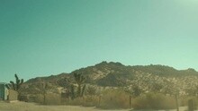 Wild Heart
