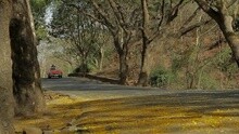 Tanha Sa Hoon