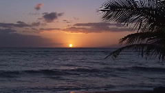 Sea Of Love