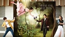 白娥娟 - Canon的早晨 韩剧《命中注定我爱你》OST 官方中字版