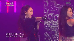 背叛的玫瑰