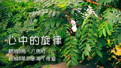 心中的旋律