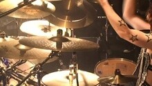 Mr. - 森林
