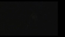 Kinako - Himawari Live Ver.