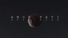 AMOR FATI 饭制版