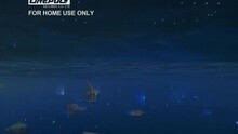 谢安琪 - 我歌故我在