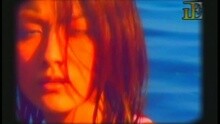 陈慧琳 - 都是你的错