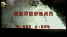 我说的谎都是真的