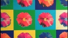 Flowers On The Wall