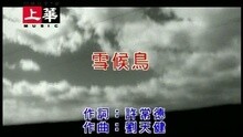 雪候鸟