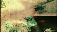 流金岁月
