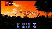 来不及说爱你