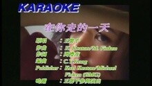 王馨平 - 在你走的一天