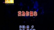 我为你伤心
