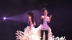 饮歌