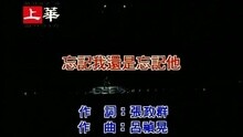 忘记我还是忘记他