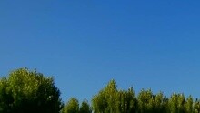 Bonjour