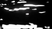 蓝奕邦 - 孔雀开屏