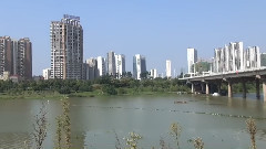 梦里水乡