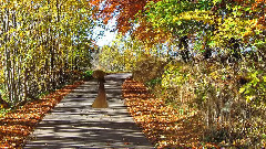 Let's Take A Walk