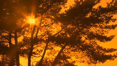 Autumn Magic秋天魔法