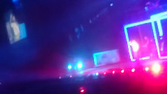 男女
