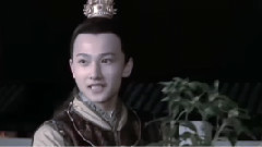 霁夜茶
