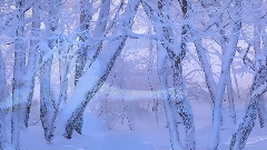 Endless Love:Winter