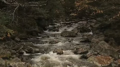 相思风雨中