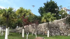 献给爱丽丝