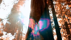 Spirit Of Free