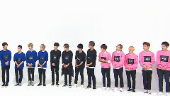 Seventeen Cut