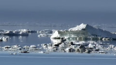 Wildes Alaska