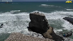 掌中