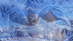 Winter Waltz