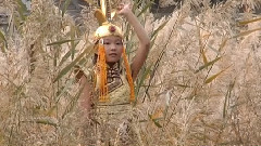 特日歌乐