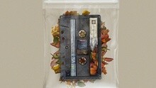 P-Type,Verbal Jint - Time Lag 2