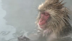 温泉