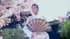 如烟随风