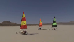 Colors Of The Wind