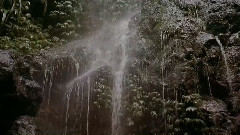 澳洲