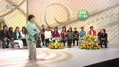 矢车草